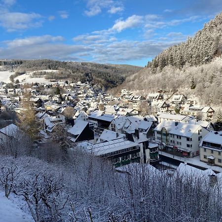 Landhaus Muehlenberg Willingen  Buitenkant foto