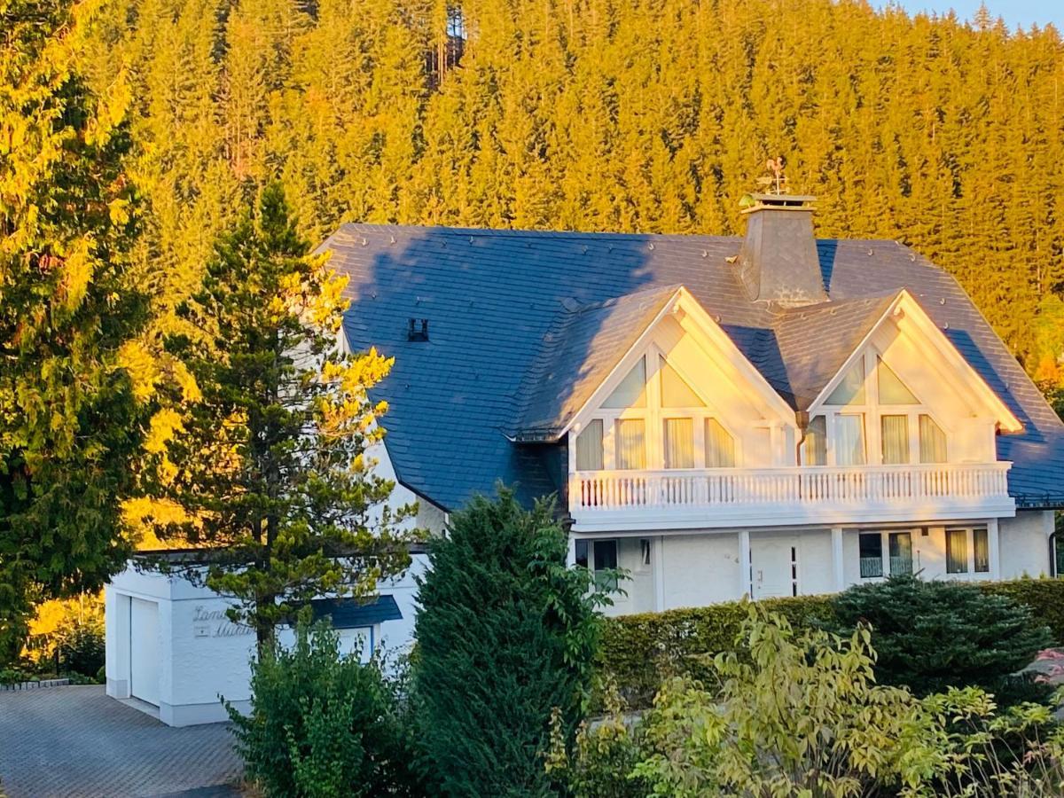 Landhaus Muehlenberg Willingen  Buitenkant foto
