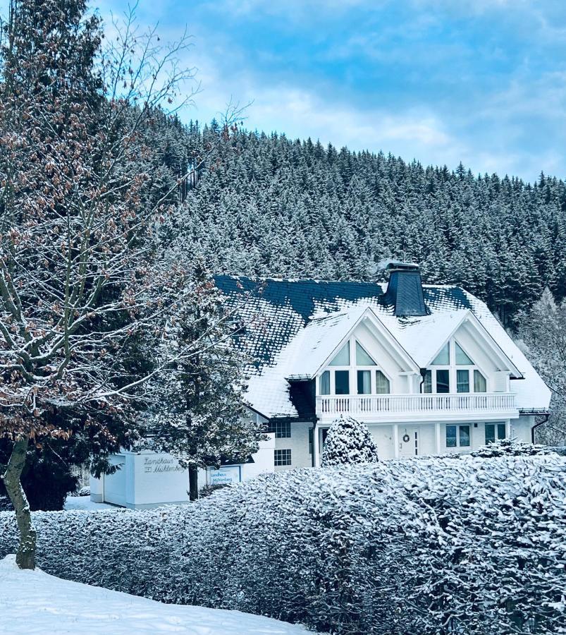 Landhaus Muehlenberg Willingen  Buitenkant foto