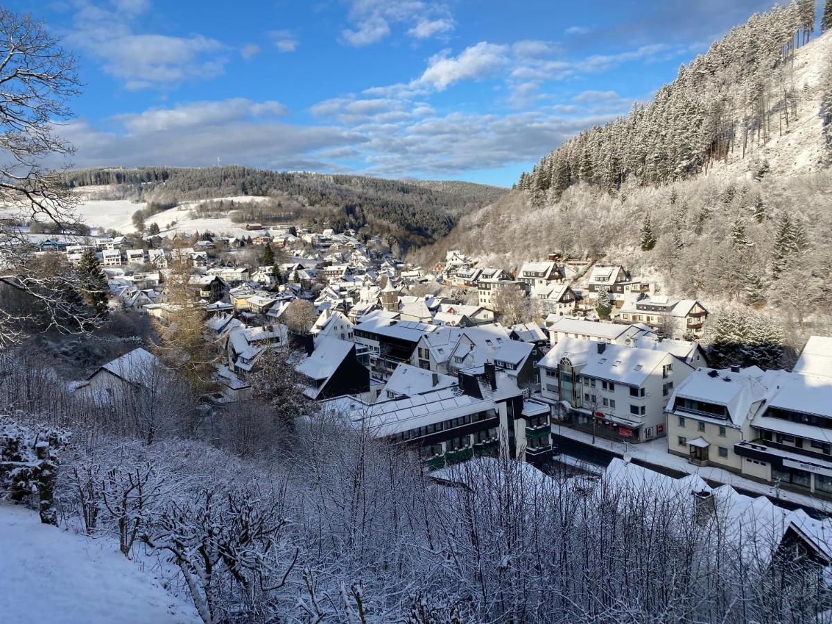 Landhaus Muehlenberg Willingen  Buitenkant foto