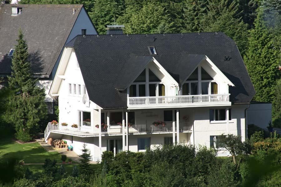Landhaus Muehlenberg Willingen  Buitenkant foto